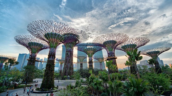 Khám phá khu Vườn hoa mái vòm và Rừng mây kỳ thú tại Gardens by the Bay Singapore